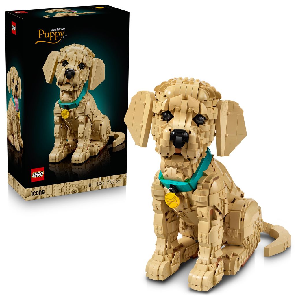 LEGO Icons Golden Retriever Welpe - Modellbau für Produktbild 