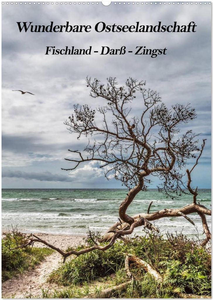 Wunderbare Ostseelandschaft Fischland-Darß-Zingst (Wandkalender 2026 DIN A2 hoch), CALVENDO Monatskalender