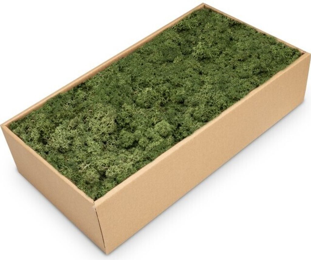 Islandmoos moosgrün 500g | Rentier Moos | Rendier Moos | Produktbild 1