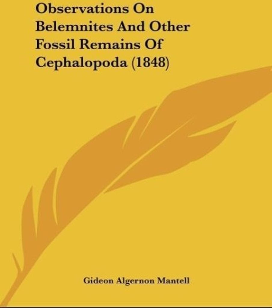 Observations On Belemnites And Other Fossil Remains Of Cephalopoda (1848)