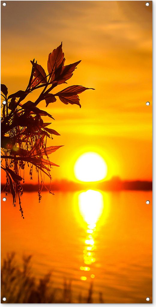 MuchoWow 80x160 cm Outdoor-Poster Gartendeko Sichtschutz Garten Poster für den Garten Sonnenuntergang - Wasser - Pflanzen - Orange