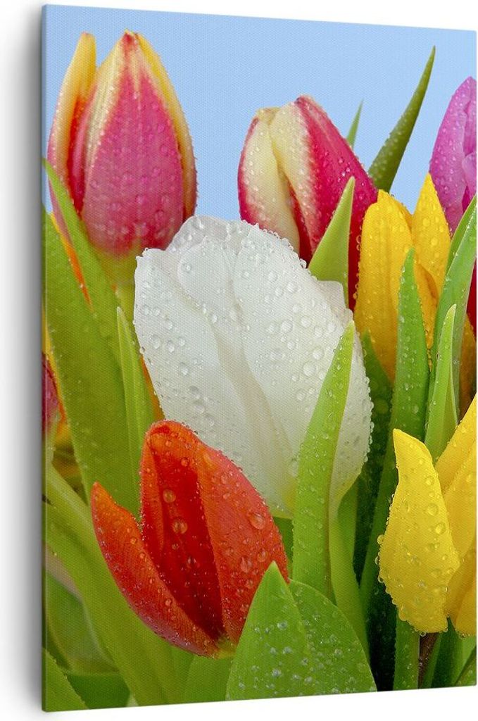 Bild auf Leinwand - Leinwandbild - Einteilig - Tulpen Blumenstrauß Blumen Tau - 70x100cm - Wand Bild - Wandbilder - Leinwanddruck - Wanddekoration...