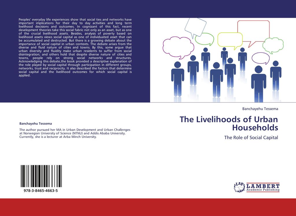 The Livelihoods of Urban Households