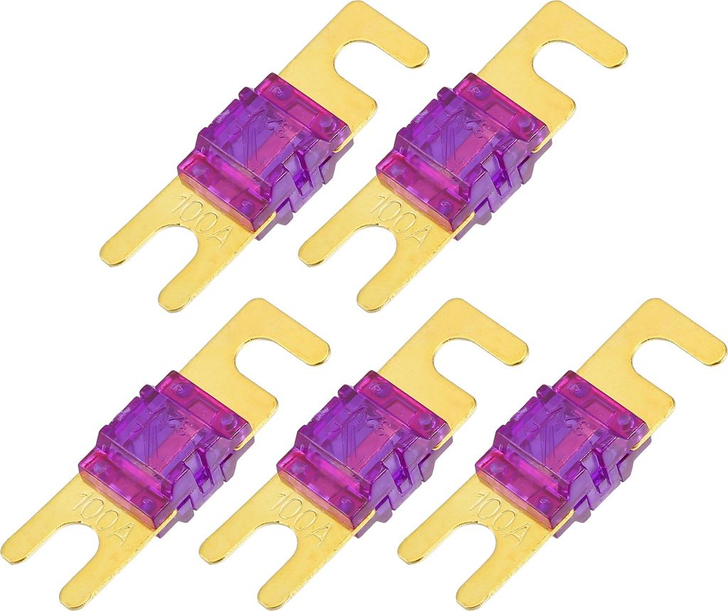 Mini ANL Sicherungen 100A / Audio CD Sicherung für Auto / 5 Stück Goldton Lila