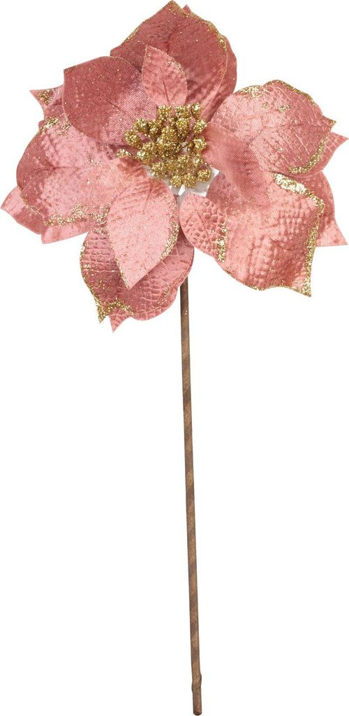 Blume MagicHome Vianoce, Poinssetia, rosa, Stiel, Blumengröße: 35 cm