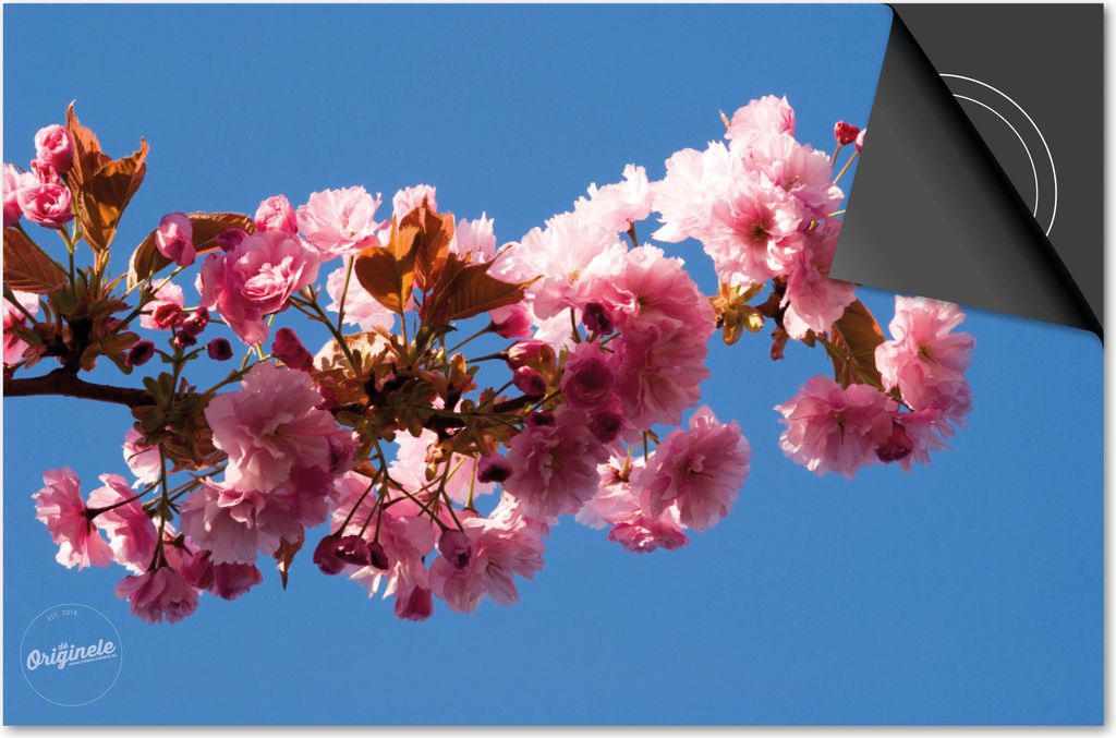 Induktionsschutz 60x60 - abdeckplatte Induktion matt- Dietrix Kochfeldschutz- Exklusive - Blumen und Pflanzen - Blüte in Baum