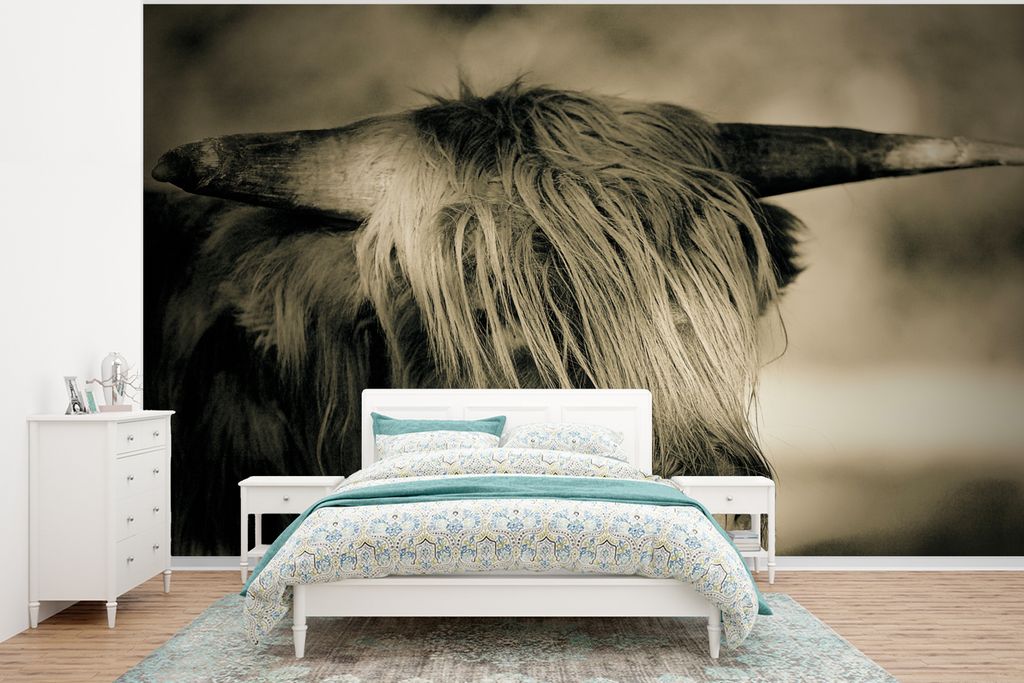 MuchoWow Fototapete für Wohnzimmer oder Schlafzimmer Wandtapete Vinyl Motivtapete Schottischer Highlander - Tiere - Haare - 295x220 cm - Wand Ta...