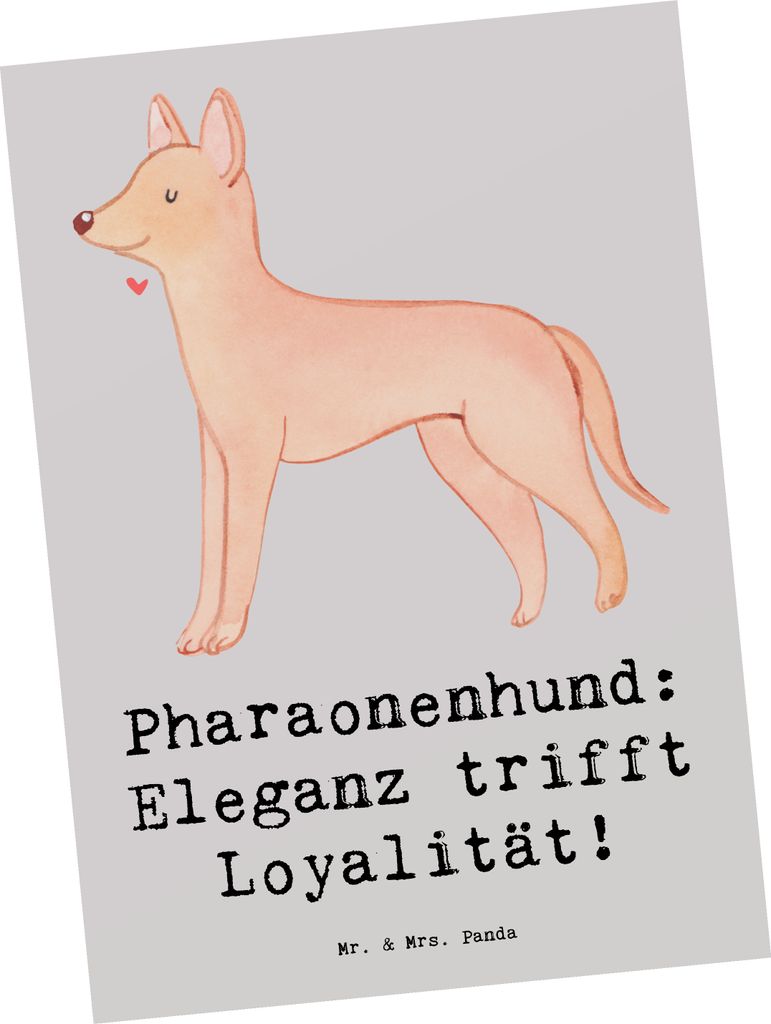 Mr. & Mrs. Panda Postkarte Pharaonenhund Eleganz - Grau Pastell - Geschenk, Postkarten, sozialer Hund, treuer Begleiter, Jagdinstinkt, Ansichtskart...