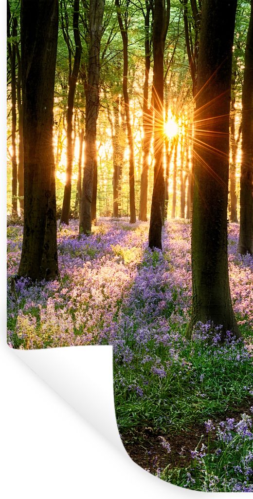MuchoWow Wandtattoo Wandsticker Wandaufkleber Wald - Blumen - Lavendel - Sonne - Lila - Natur 40x80 cm Selbstklebend und Repositionierbar - Repos...
