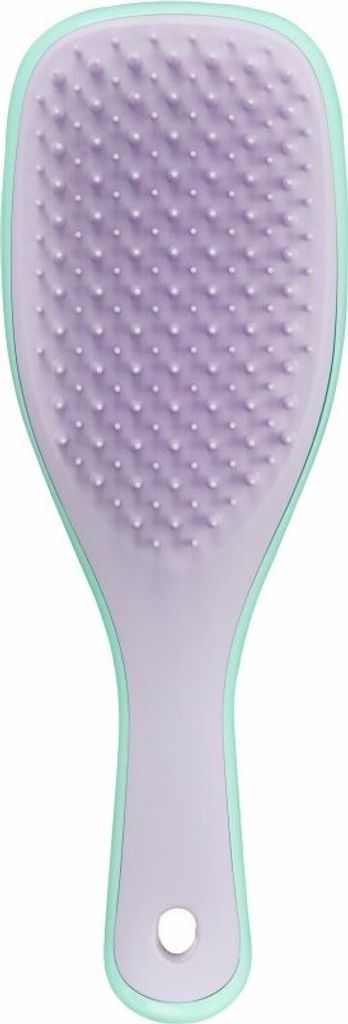 Tangle Teezer Mini Nass Detangler Mint / lila
