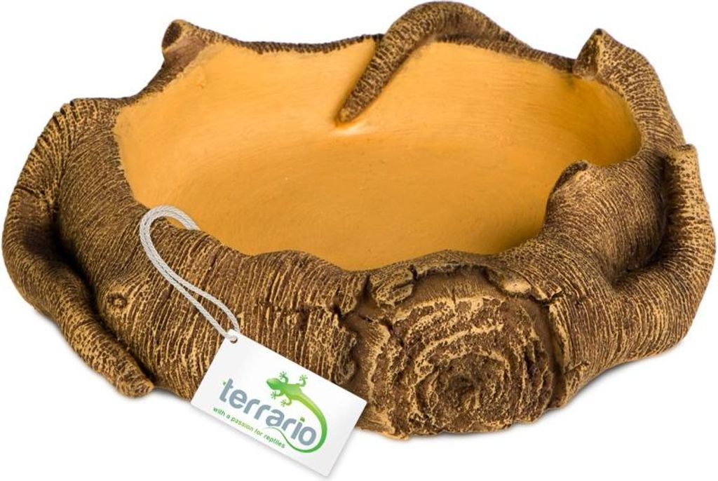 Terrario Ciotola rustica in legno - Ciotola per terrari Immagine del prodotto 