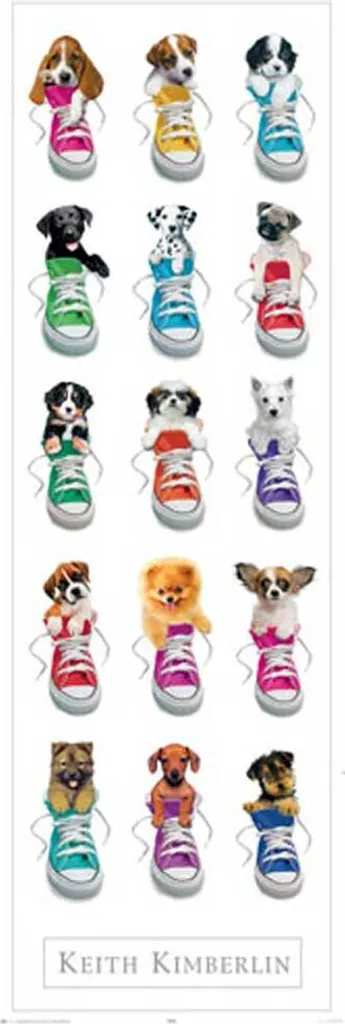 Poster de porte Keith Kimberlin Sneakers avec 2 supports bois noir 61 cm