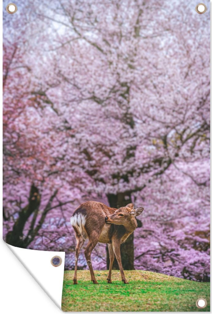 MuchoWow 40x60 cm Outdoor-Poster Gartendeko Sichtschutz Garten Poster für den Garten Ein Park mit einer großen Sakura