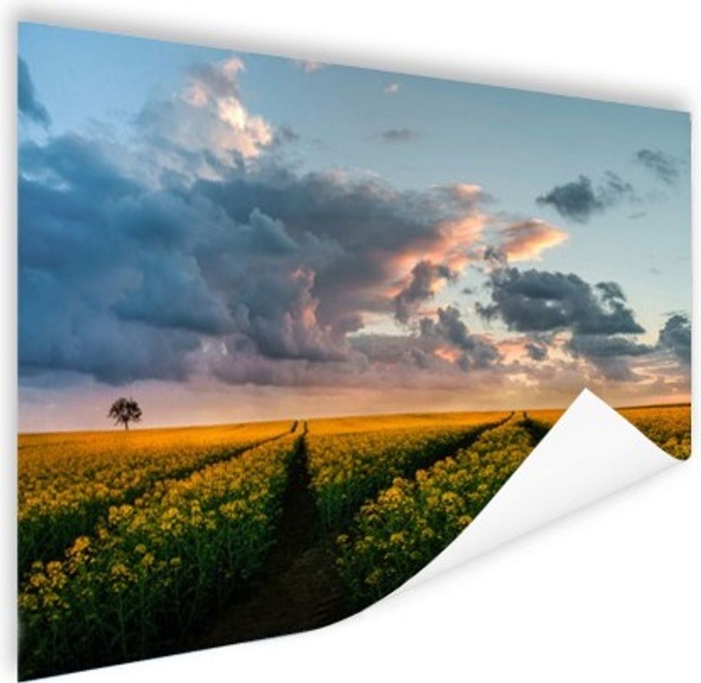 MuchoWow Poster Blumen - Gelb - Sonnenuntergang 60x40 cm - Schlafzimmerdekoration