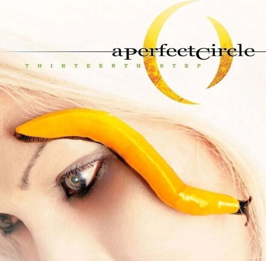 Vinyle A Perfect Circle Thirteenth Step Double LP Réédition 2024