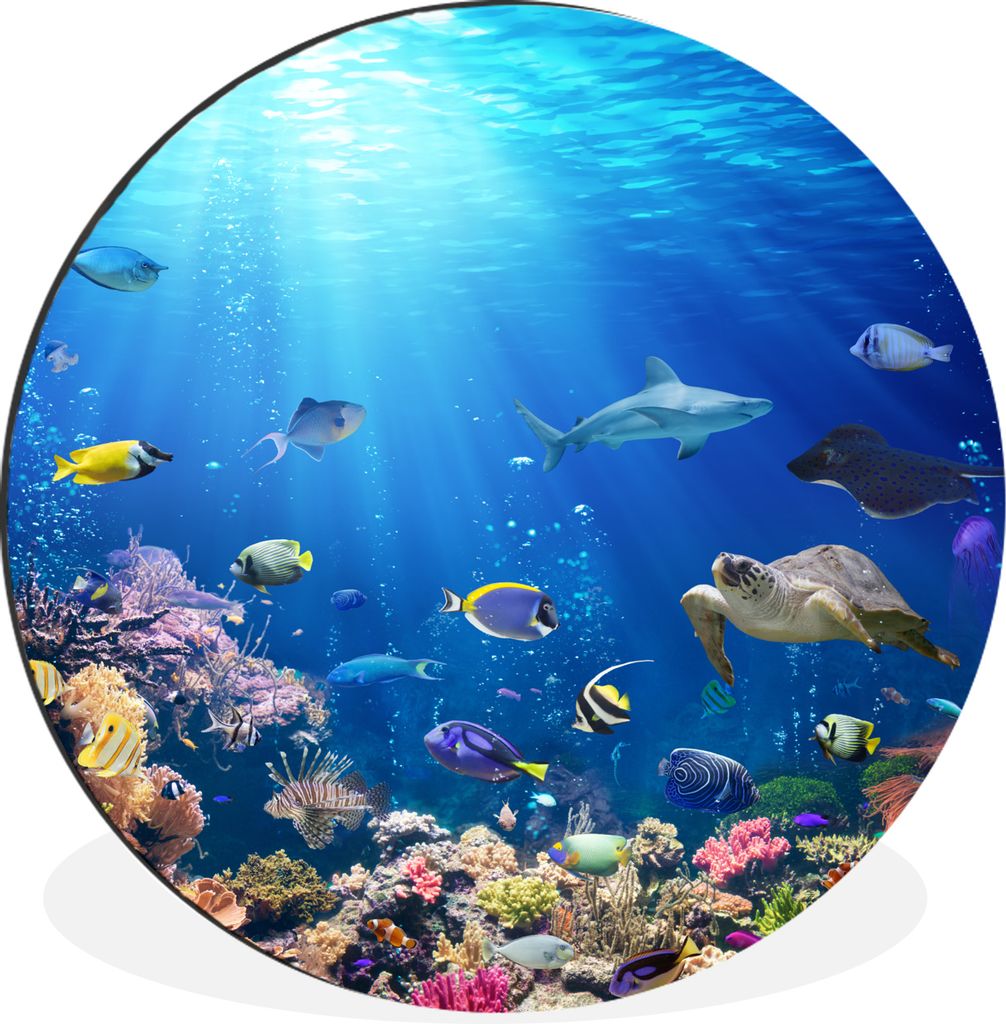 MuchoWow - Mauerkreis - Wandbilder - Runde Bild - Bild aus Aluminium - Schlafzimmer - Wohnzimmerdekoration - Wand Dekoration