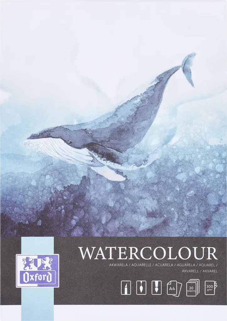 Bloc Aquarelle A4 Oxford 300g Grain Fin 20v Collé - Pack de 15 Unités