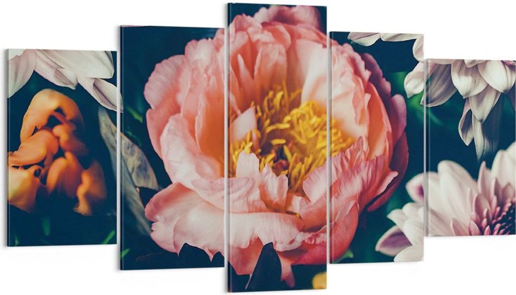 Bild auf Leinwand - Leinwandbild - 5 Teile - Blumen Pfingstrose Holzig - 160x85cm - Wand Bild - Wanddeko - Wandbilder - Leinwanddruck - Bilder - Wa...