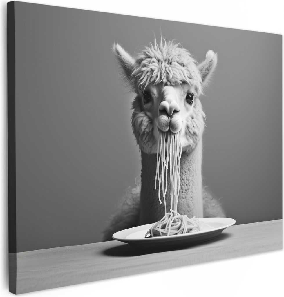Leinwand Bilder 80x60 cm - Tiere, Komisch - Alpaka, Wandbilder, Wanddeko Wohnzimmer, Bild