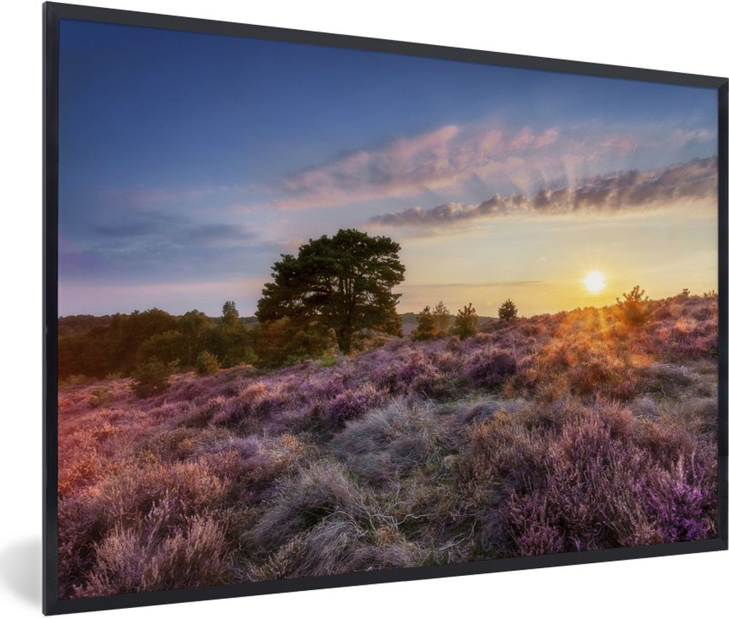 MuchoWow Gerahmtes Poster Heide bei Sonnenuntergang 30x20 cm - Poster mit Schwarzem Bilderrahmen Wandposter Rahmen Foto Bilder - Kunstdruck - Bil...