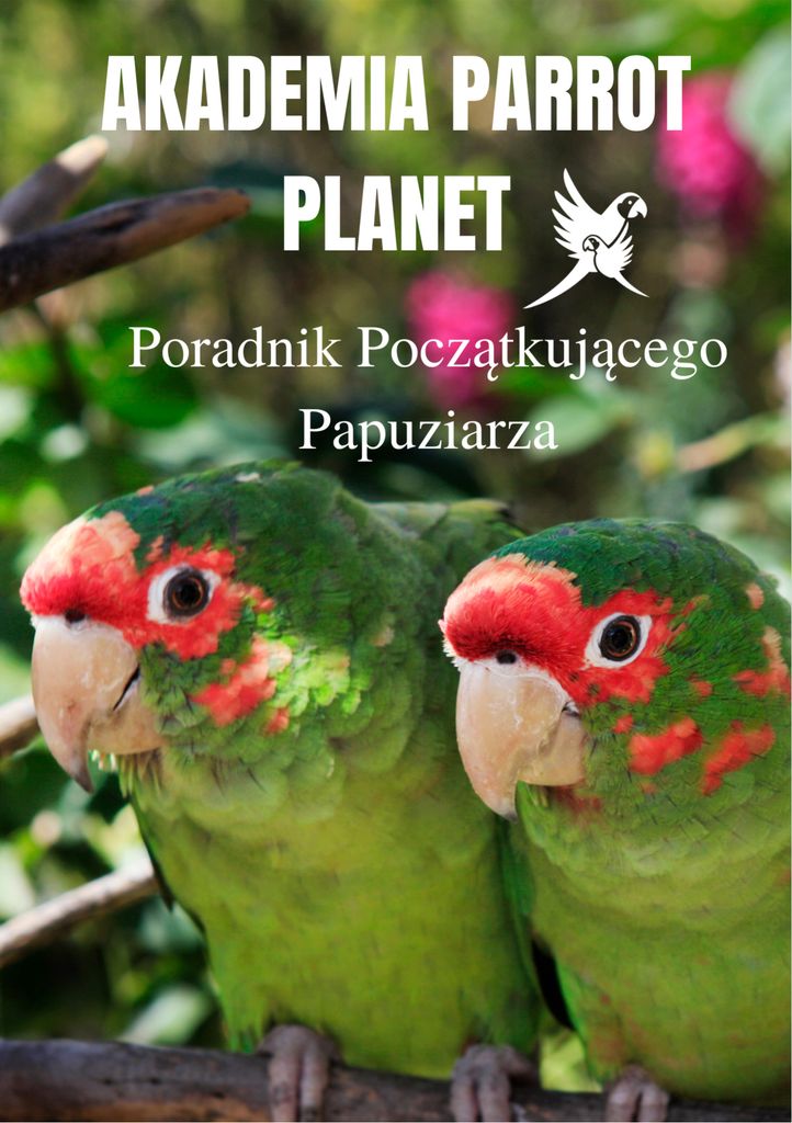 Akademia Parrot Planet "Poradnik Początkującego Papuziarza" Zdjęcie produktu 
