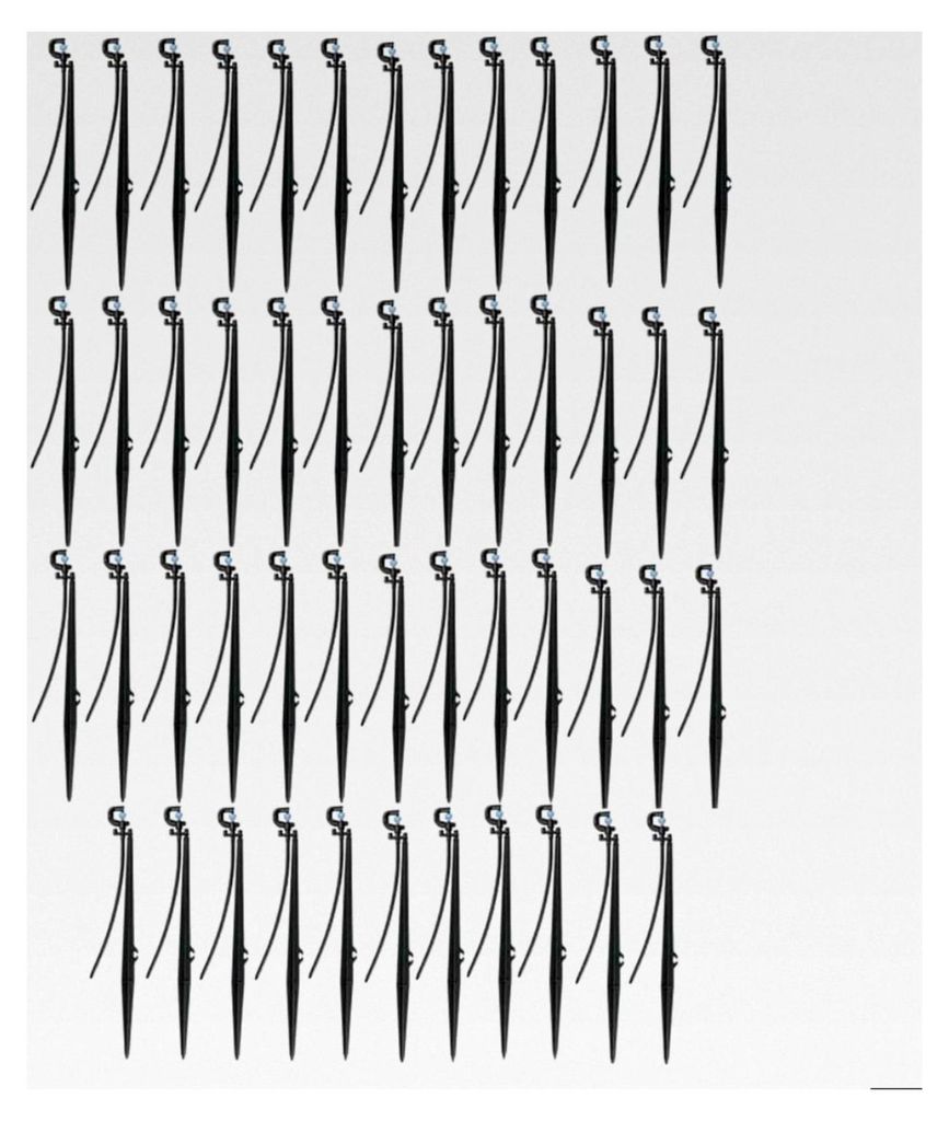 Packung mit 50 Mikrosprengern 180° und Erdspießen für die landwirtschaftliche Bewässerung und den Garten