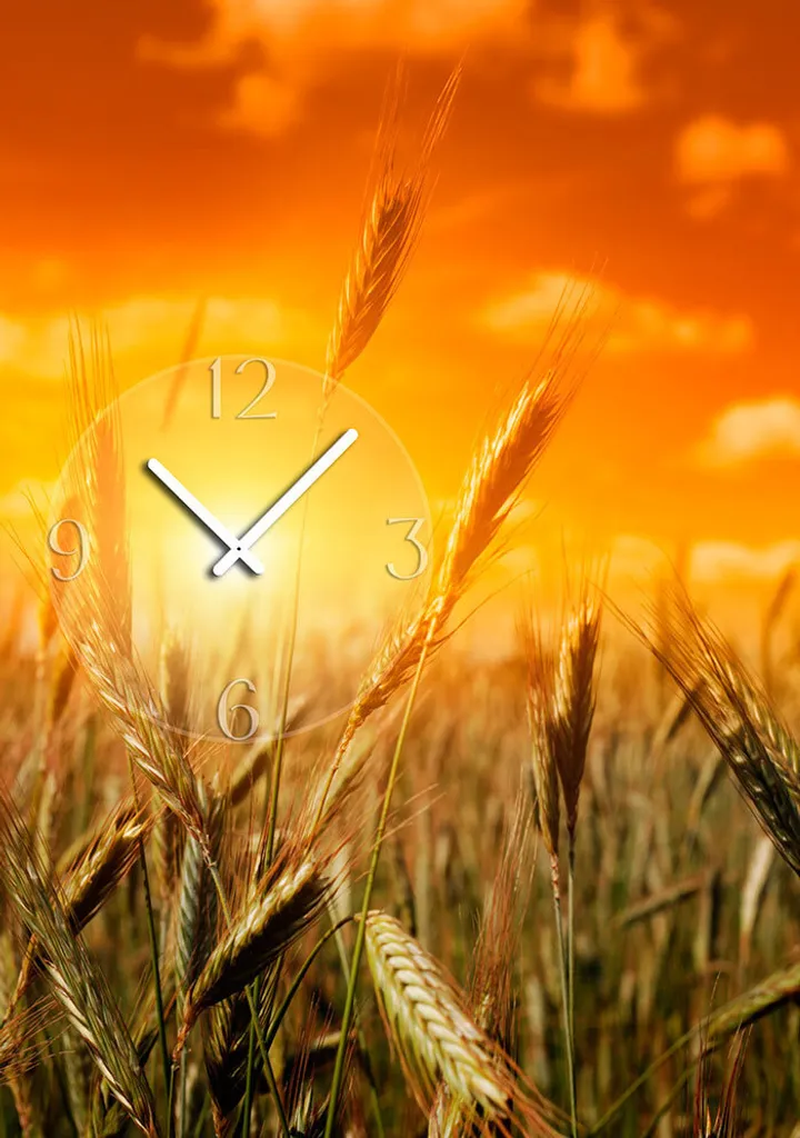 Orologio da parete Dixtime 6012 35x50cm - Alluminio Dibond Antigraffio