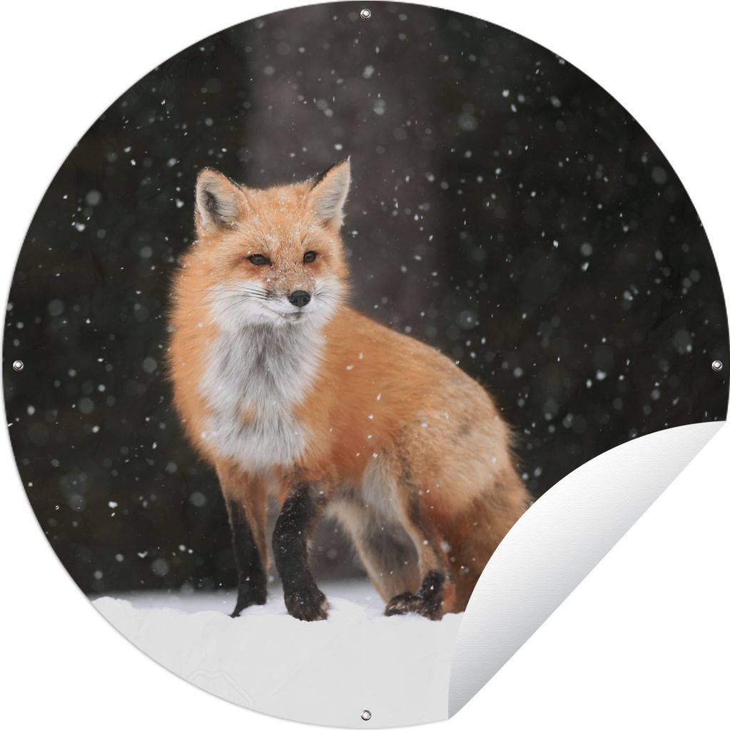 MuchoWow Gartenposter Outdoor-Poster Rund Fuchs - Schnee - Winter Ø 120 cm Gartendeko Rundes Poster draußen