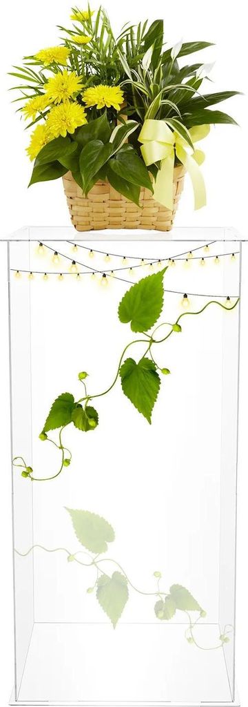 Blumenständer aus Acryl - Podest/Säule - 30×30×60 cm - 3 mm Paneele - Tragkraft 3 kg - Freistehend - Transparent
