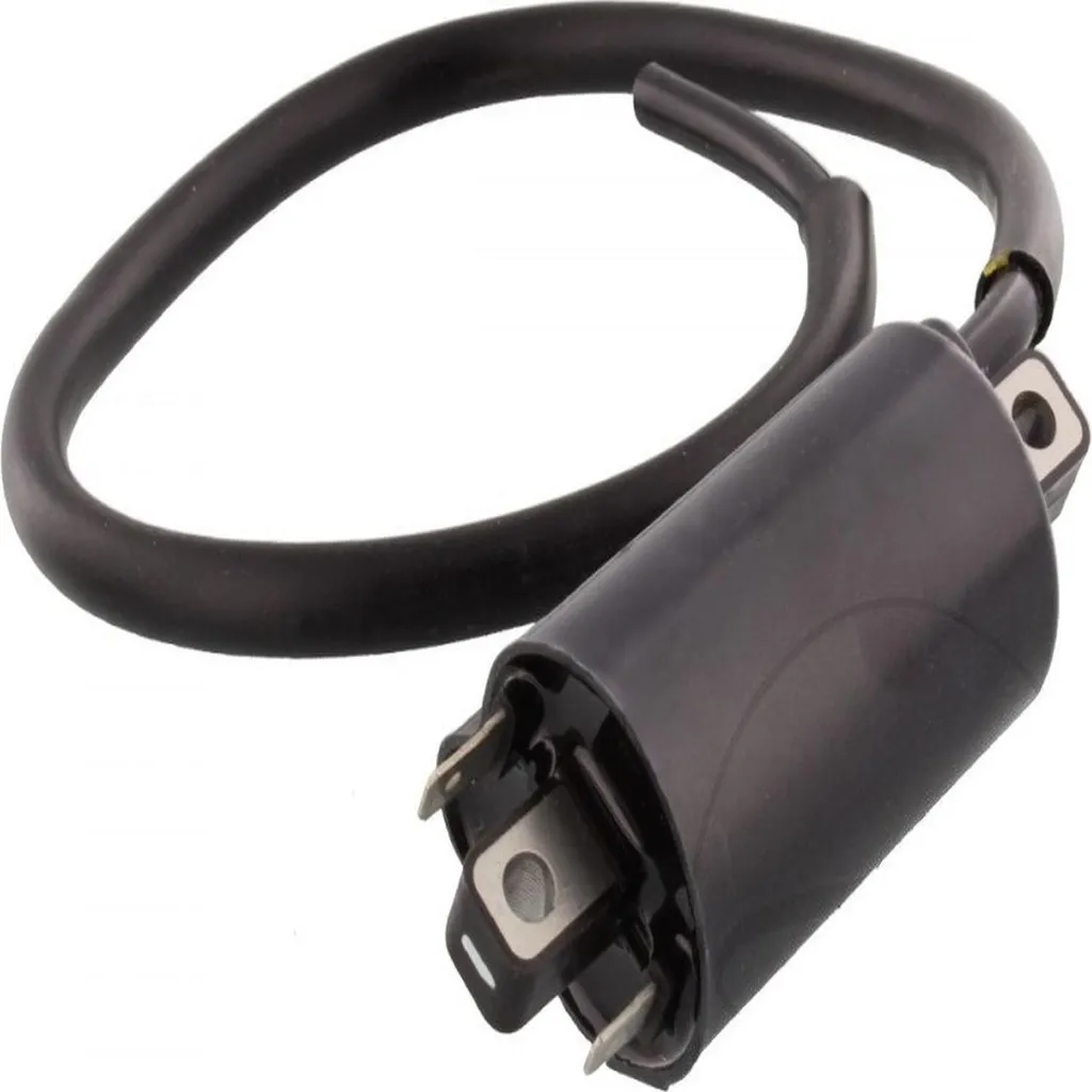 Bobine allumage Pamoto performance pour Bimota DB10 1100 Bimotard