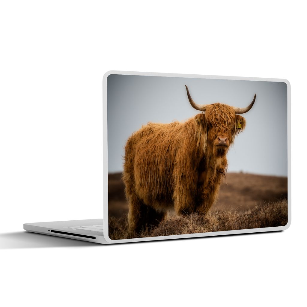 MuchoWow Laptop Aufkleber Sticker Cover Schottischer Highlander - Düne - Gras 36.5x27.5 cm - Laptop-Sticker