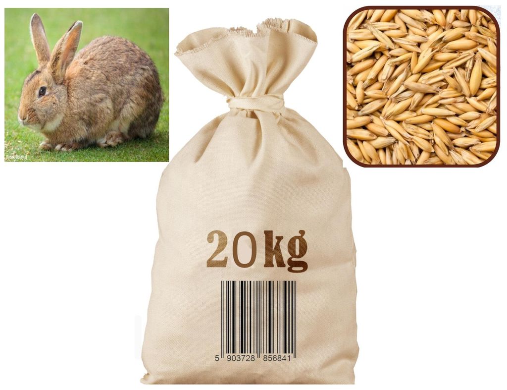 Owies paszowy 20kg Agro Bracia Zdjęcie produktu 