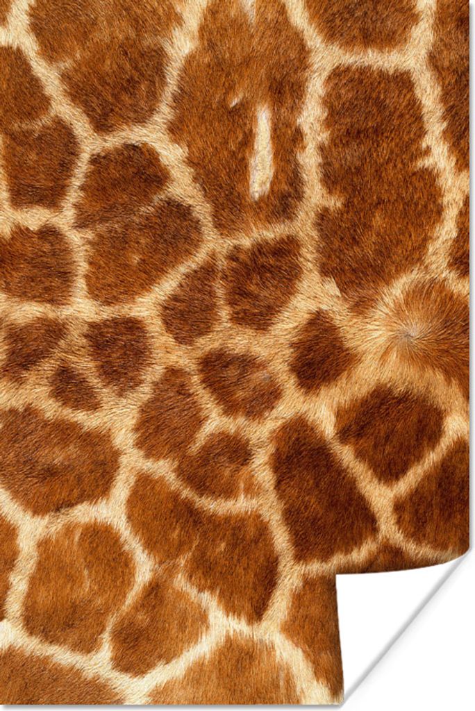 MuchoWow Poster Fell - Giraffe - Tiere 120x180 cm - Kunstposter