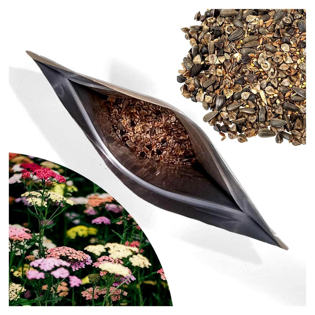 Blumenwiesenmischung 100g, 100% natürliche Blumensamen für eine insektenfreundliche Wiese