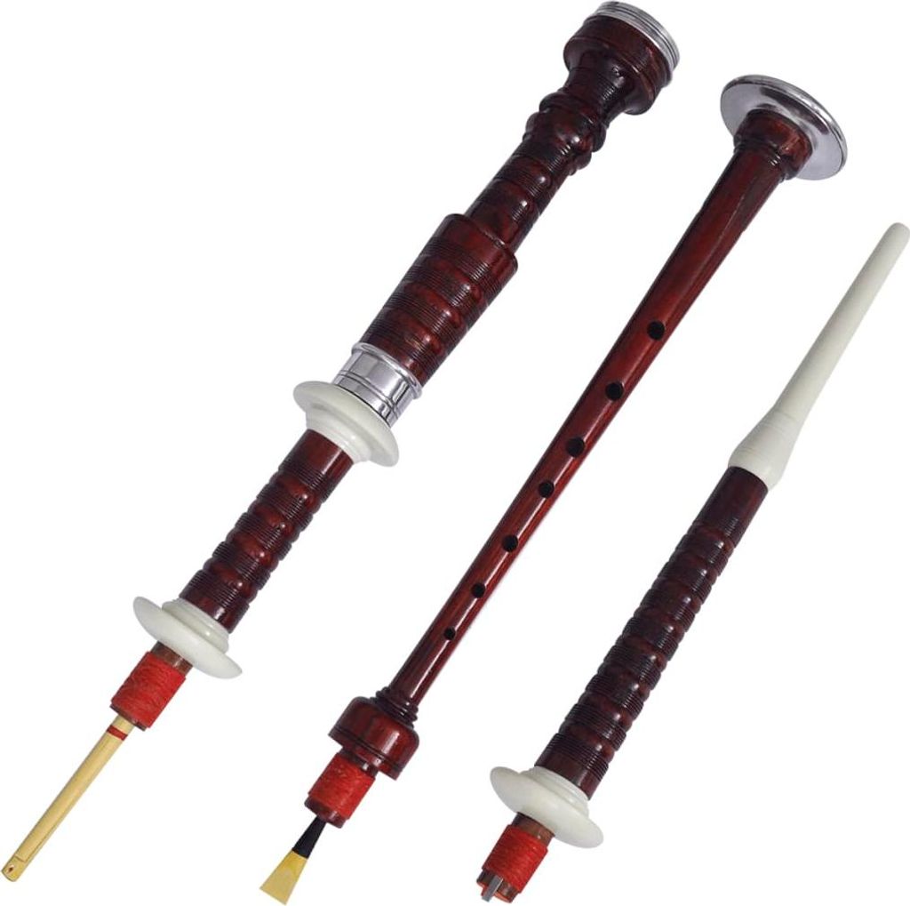 vidaXL Schottischer Dudelsack Great Highland Grüner Black Watch Tartan