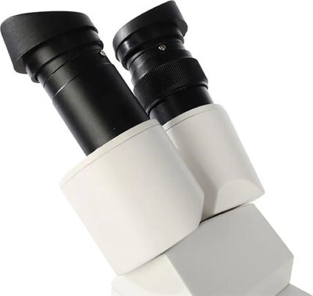Microscope Stéréo Byomic BYO-ST2 pour Débutants avec Oculaires WF10x - 4