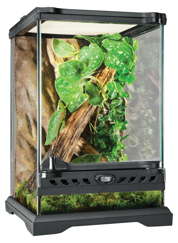 Exo Terra Glasterrarium Natural Terrarium Nano Tall 20 × 20 Productafbeelding 