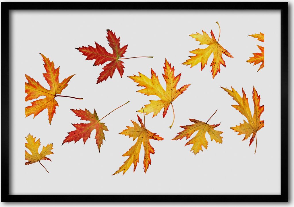 Bild - Bilderrahmen - 100 cm x 70 cm - MDF - Rahmen - Foto - Wandkunst Herbstblätter