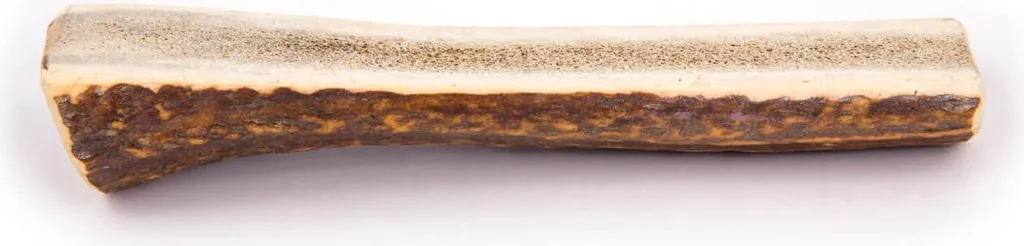 Stopper l'ennui du chien avec le Bois de cerf XXL R-Line Easy 4DOGS