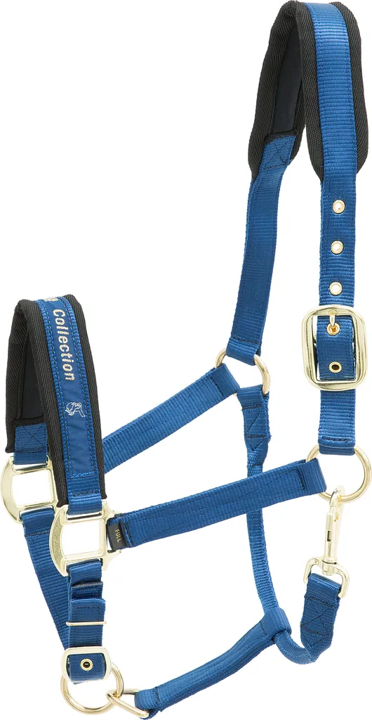 Licol de pansage Kieffer en nylon bleu pour cheval de taille pur-sang