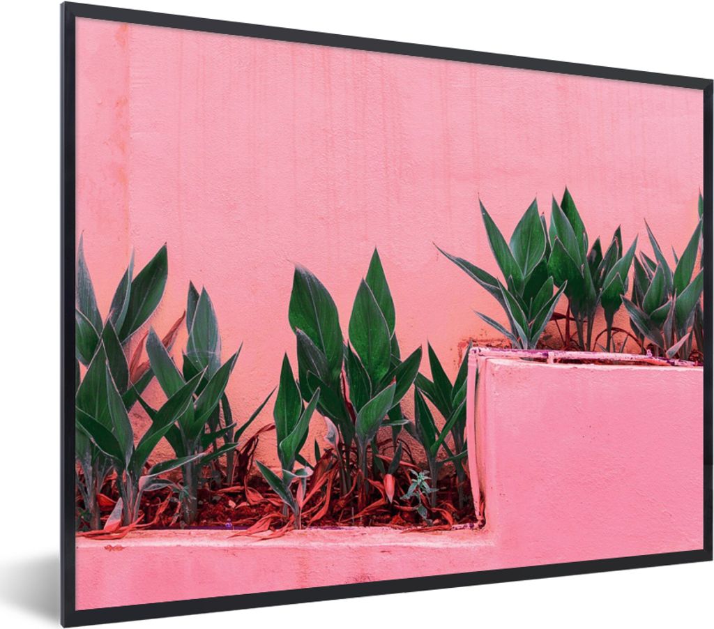 MuchoWow Gerahmtes Poster Pflanzen - Sommer - Farbe 80x60 cm - Poster mit Schwarzem Bilderrahmen Wandposter Rahmen Foto Bilder - Schwarzem - Mit ...