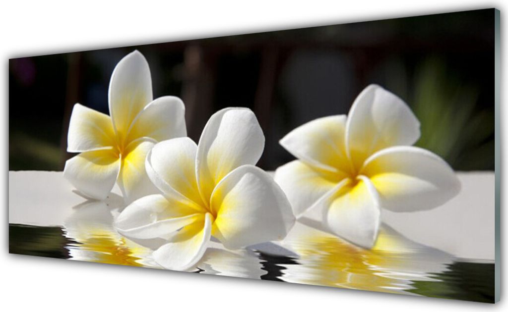 Küchenrückwand aus Glas 125x50cm Spritzschutz Blumen Pflanzen