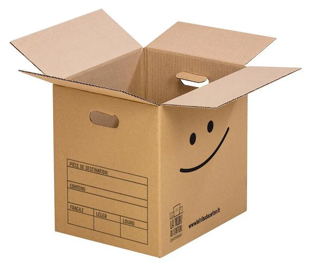 Lot de Cartons de Déménagement Spécial Grand Appartement T5 et Maison