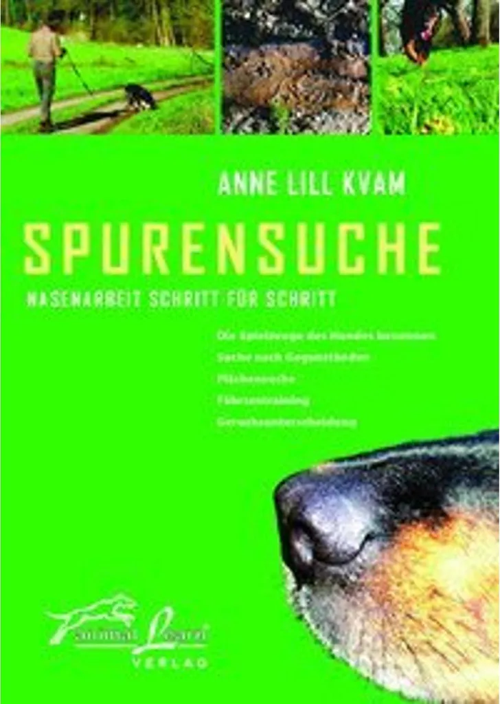 Jeu Spurensuche pour animer vos après-midis de pluie et fêtes d'enfants