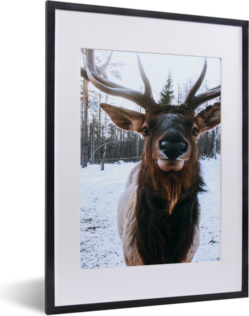MuchoWow MuchoWow Gerahmtes Poster Hirsche - Geweihe - Schnee 30x40 cm - Poster mit zchwarzem Bilderrahmen - Wandposter Schlafzimmer