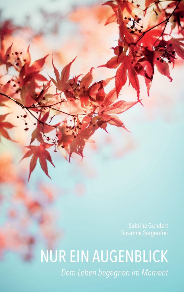 Nur ein Augenblick: Dem Leben begegnen im Moment vo... Book