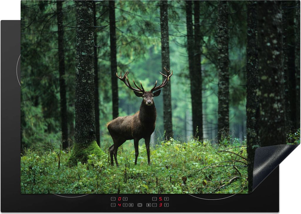 KitchenYeah Herdabdeckplatte Hirsche - Bäume - Geweihe , 75x52cm, Küche Deko, Glaskeramikfeld Herdabdeckung, Abdeckplatte fùr Kochfeld