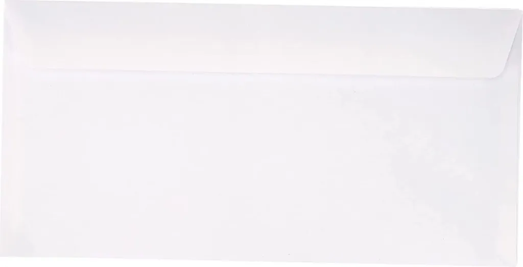 GPV 502 Enveloppes DL 110x220 mm blanches sans fenêtre lot de 500