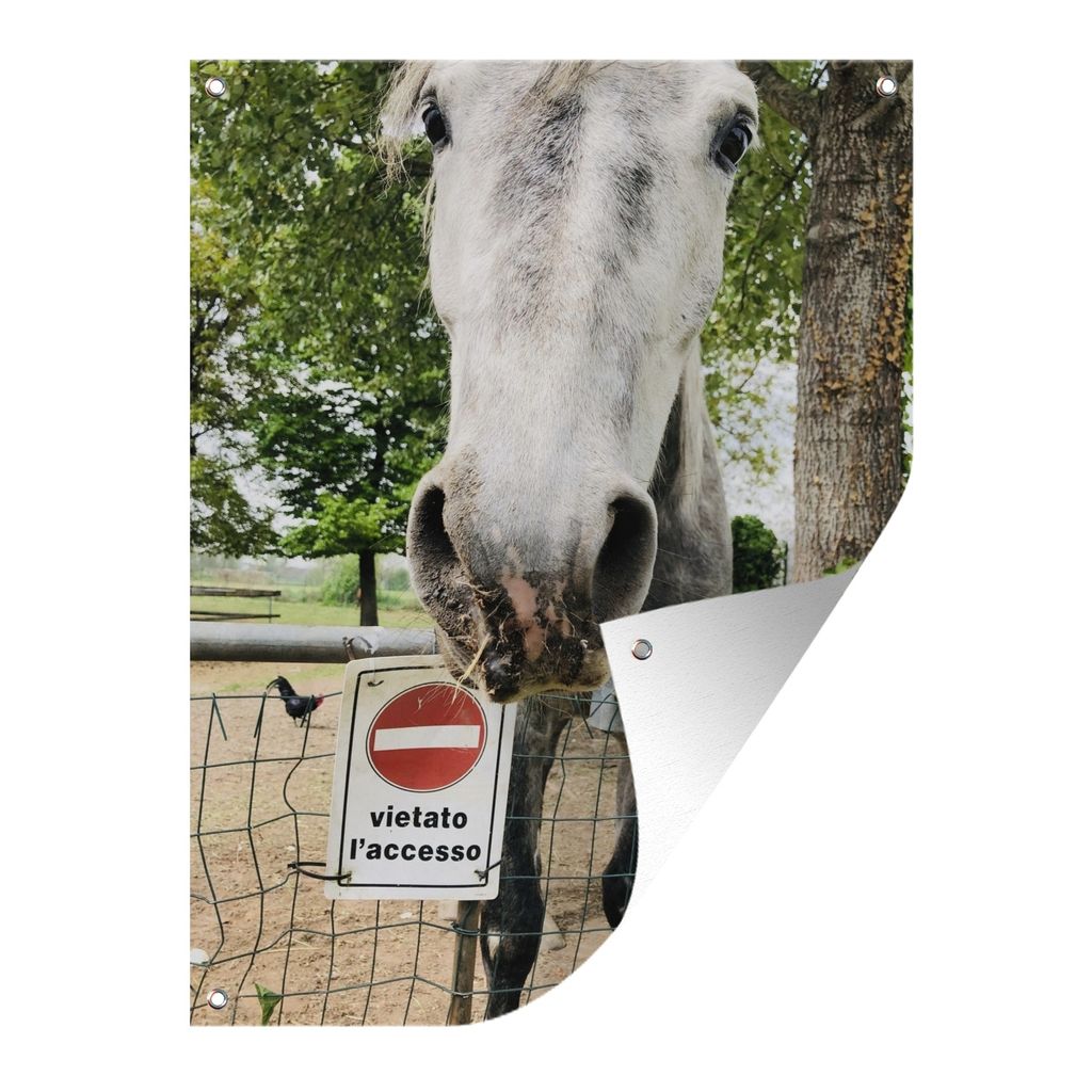 MuchoWow 60x80 cm Outdoor-Poster Gartendeko Sichtschutz Garten Poster für den Garten Pferde - Lipizzaner - Zaun