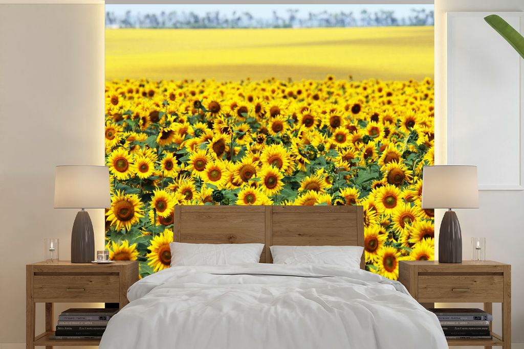 MuchoWow Fototapete für Wohnzimmer oder Schlafzimmer Wandtapete Vinyl Motivtapete Sonnenblume - Blumen - Natur - 240x240 cm - Schlafzimmer-Tapete